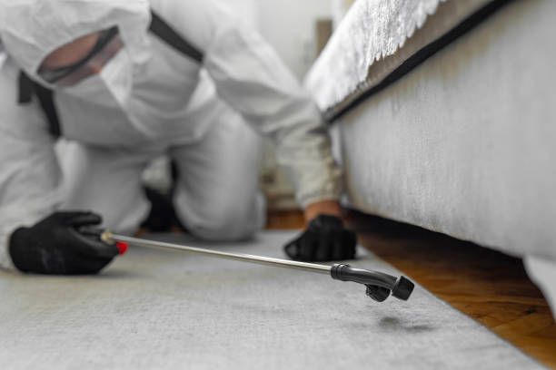 Professional Cockroach Control technician working in Kenedy, TX